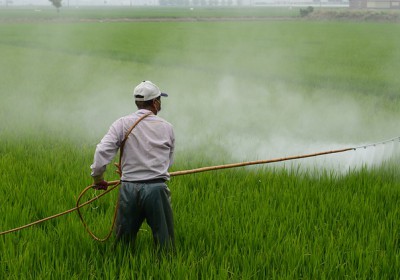 Nicolas  Hulot : « Interdisons les pesticides néonicotinoïdes »