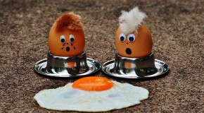 Panorama Conso mis en ligne le 14 11 2025