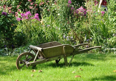 Jardiner sans pesticides : Le purin d’ortie sauvé