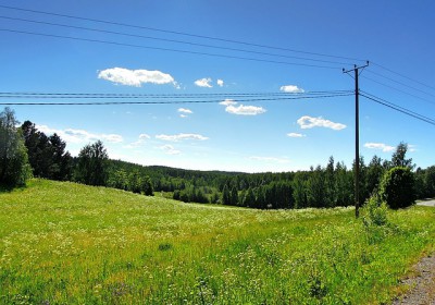 Fils téléphoniques. Le retour de la servitude d’élagage