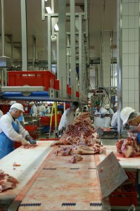 abattoirs-controle-video
