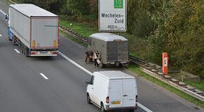 Panorama Conso mis en ligne le 04 02 2026