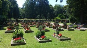 Panorama Conso mis en ligne le 15 08 2025