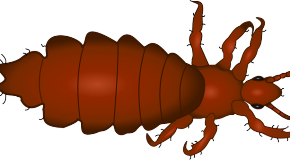 Panorama Conso mis en ligne le 13 11 2025