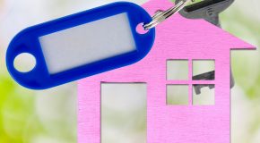 Panorama Conso mis en ligne le 09 11 2025