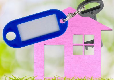 Panorama Conso mis en ligne le 09 11 2025