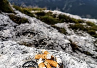 Panorama Conso mis en ligne le 23 08 2025