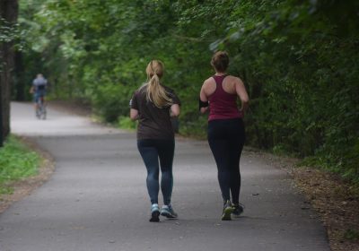 Panorama Conso mis en ligne le 05 11 2025