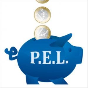 #plan-épargne-logement-pel-R