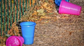 Panorama Conso mis en ligne le 26 01 2026