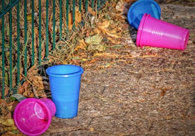 Panorama Conso mis en ligne le 26 01 2026