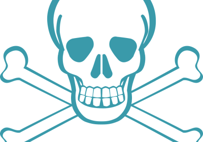 Panorama Conso mis en ligne le 23 02 2026