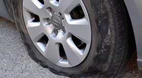 Panorama Conso mis en ligne le 22 03 2026